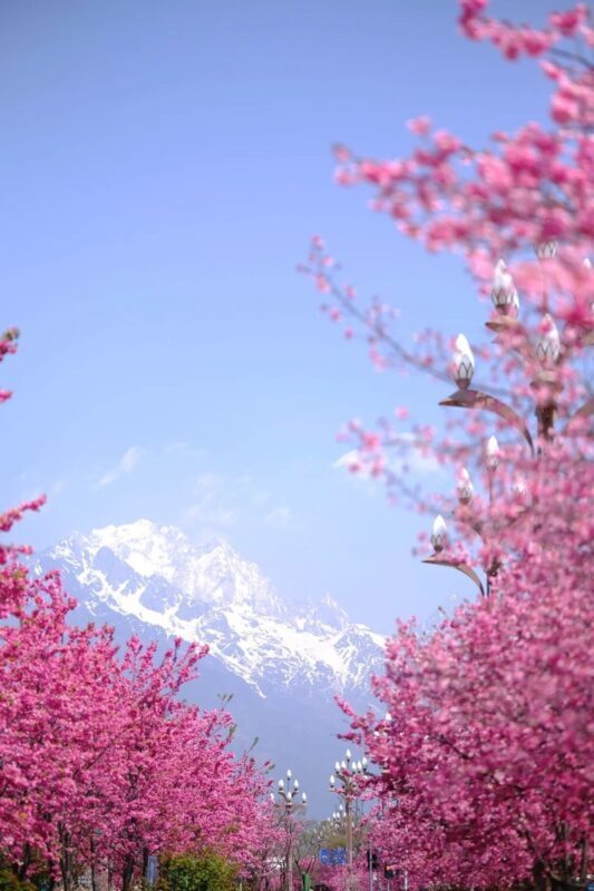 One-day private car tour of Jade Dragon Snow Mountain and Baisha Ancient Town in Lijiang, Yunnan - Ganhaizi and the morning light
