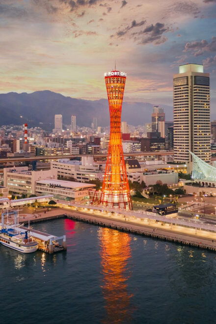 One Day Private Customized Self-Guided Tour in Kobe - Accessibility Features
