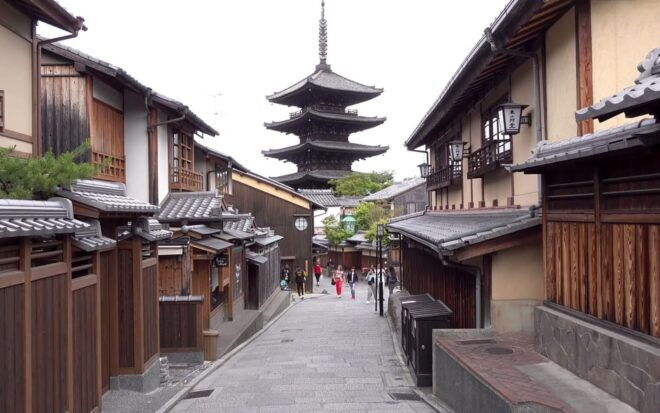 One Day Private Customized Self-Guided Tour in Kyoto - Vehicle and Driver Information