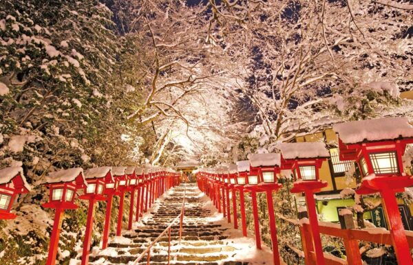 One Day Private Customized Self-Guided Tour in Kyoto - Contact and Support Services