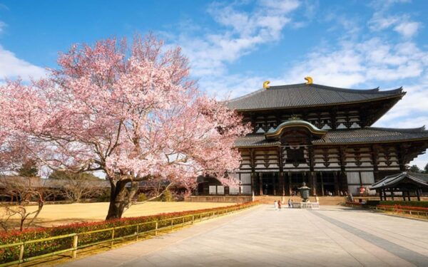 One Day Private Customized Self-Guided Tour in Nara - Customer Support Details