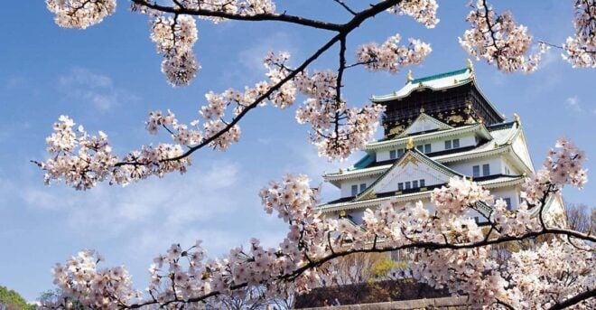 One Day Private Customized Self-Guided Tour in Osaka - Transportation Options