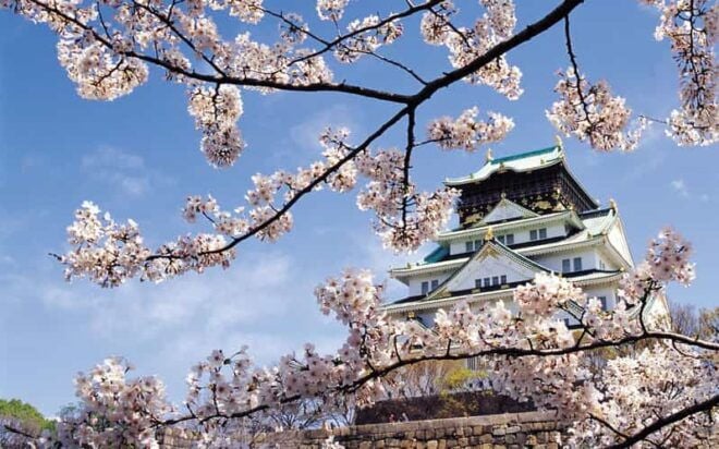 One Day Private Customized Self-Guided Tour in Osaka - Accessibility Features