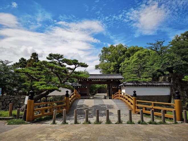 One Day Private Customized Self-Guided Tour in Wakayama - Transportation Options