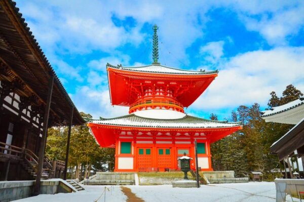 One Day Private Customized Self-Guided Tour in Wakayama - Additional Fees