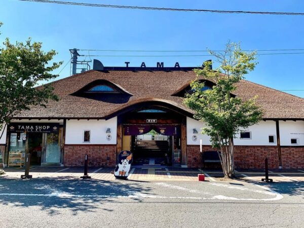 One Day Private Customized Self-Guided Tour in Wakayama - Customer Support Options
