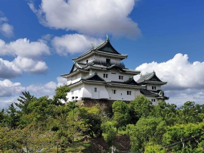 One Day Private Customized Self-Guided Tour in Wakayama - Transportation Options