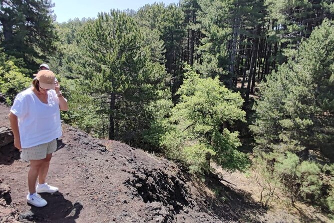 One-Day Private Guided Tour of Etna and Alcantara - Inclusions