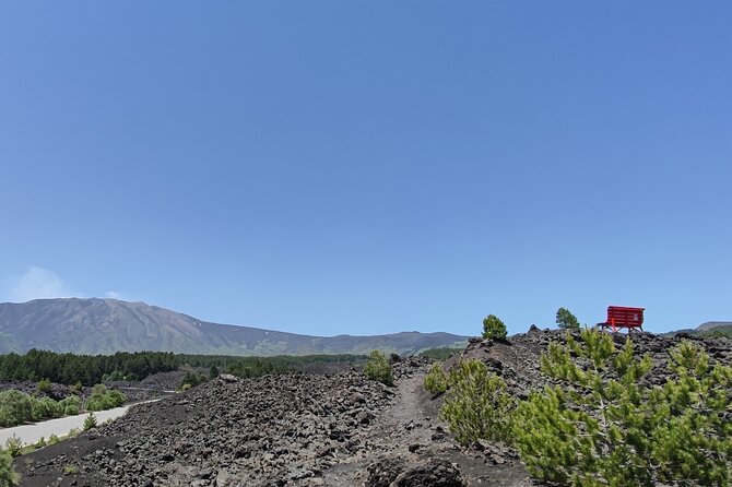 One-Day Private Guided Tour of Etna and Alcantara - Pickup Information