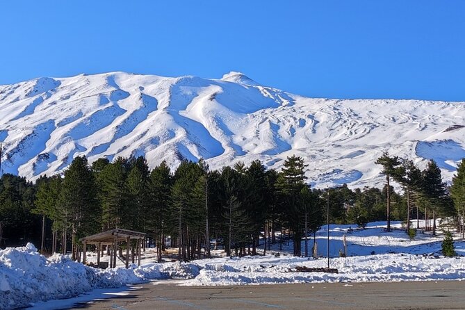 One-Day Private Guided Tour of Etna and Alcantara - Price and Policies
