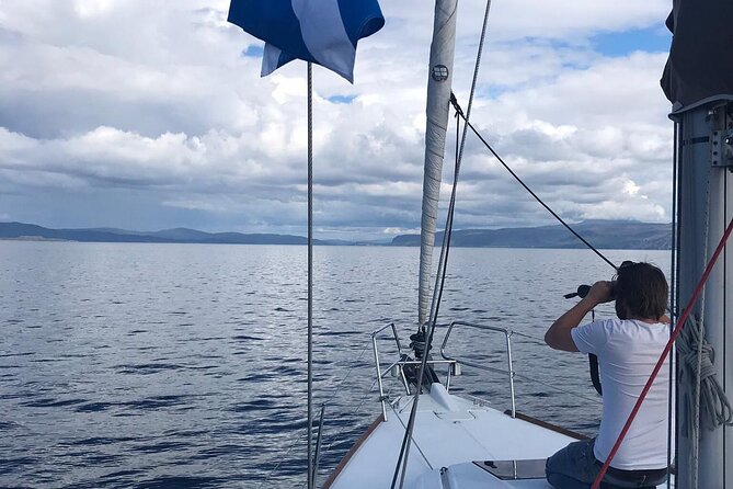 One Day Private Sailing From Oban Marina With Lunch - Location and Pricing