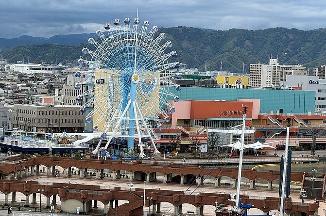One Day Private Tour Around Shimizu Port for Cruise Passengers - Pricing Details