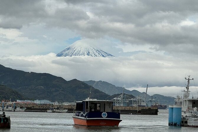 One Day Private Tour Around Shimizu Port for Cruise Passengers - The Sum Up