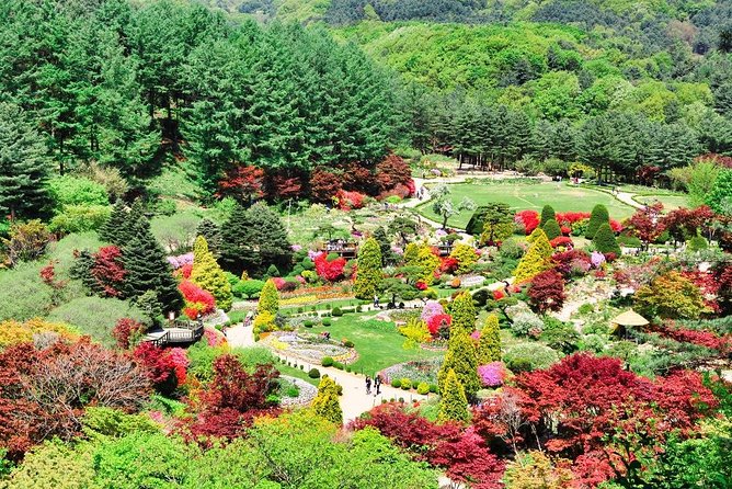 One Day Private Tour-Nami Island, Petite and Garden of Morning Calm(Incl. Lunch) - Tour Overview