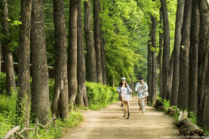 One Day Private Tour-Nami Island, Petite and Garden of Morning Calm(Incl. Lunch) - Tour Details