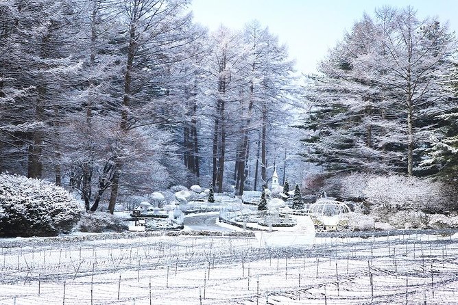 One Day Private Tour-Nami Island, Petite and Garden of Morning Calm(Incl. Lunch) - Booking Information