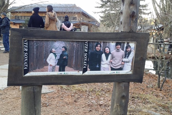 One Day Private Tour-Nami Island, Petite and Garden of Morning Calm(Incl. Lunch) - Tour Highlights