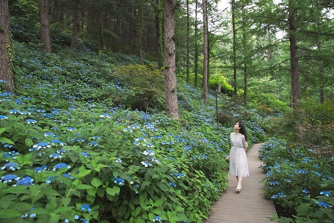 One Day Private Tour-Nami Island, Petite and Garden of Morning Calm(Incl. Lunch) - Directions and Itinerary