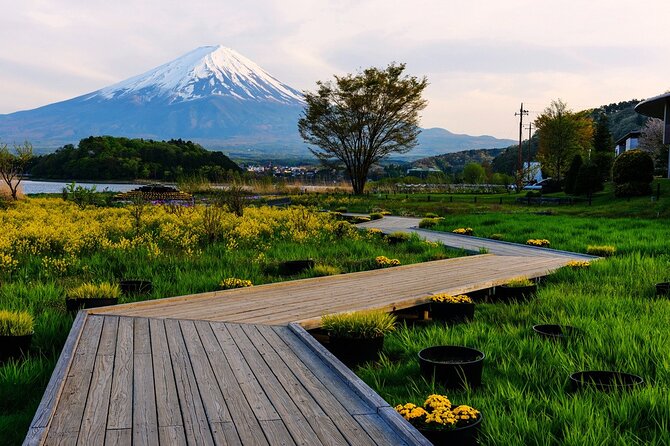 One Day Private Tour of Mt Fuji With English Speaking Driver - Featured Review Testimonial