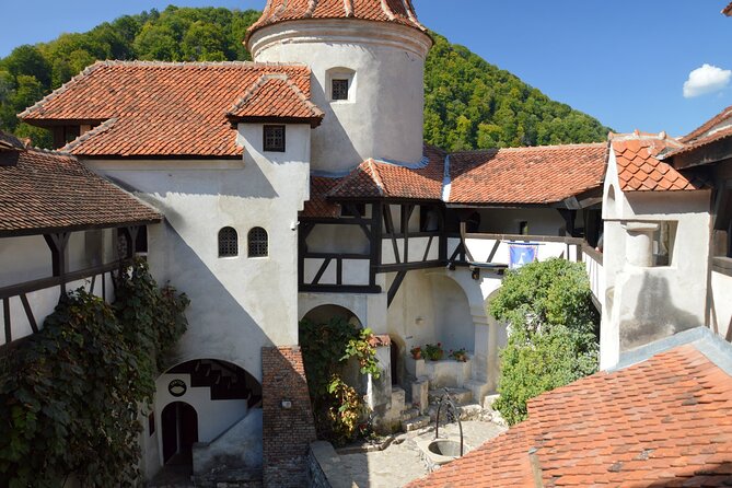One Day Private Tour to Peles and Dracula Castles & Brasov City - Additional Info