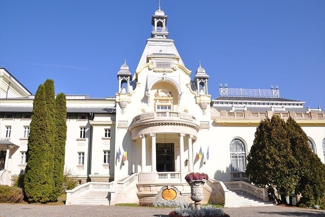 One Day Private Tour to Peles and Dracula Castles & Brasov City - Reviews