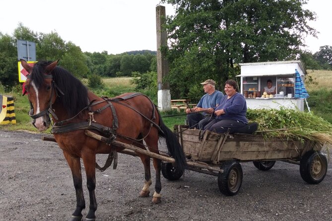 One Day Private Tour to Peles and Dracula Castles & Brasov City - Price and Booking