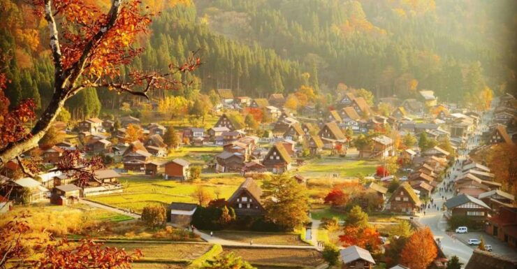 One Day Private Tour To Shirakawago & Takayama Eng Driver - Activity Details