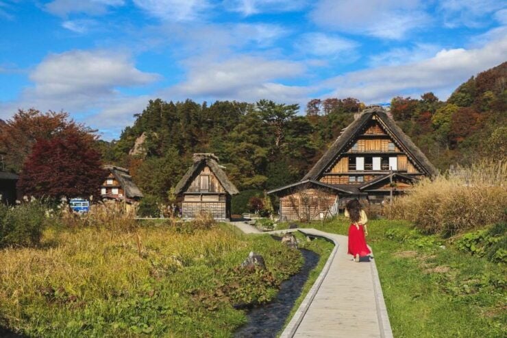 One Day Private Tour To Shirakawago & Takayama Eng Driver - Driver Details