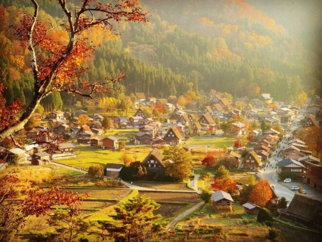 One Day Private Tour To Shirakawago & Takayama Eng Driver - Highlights