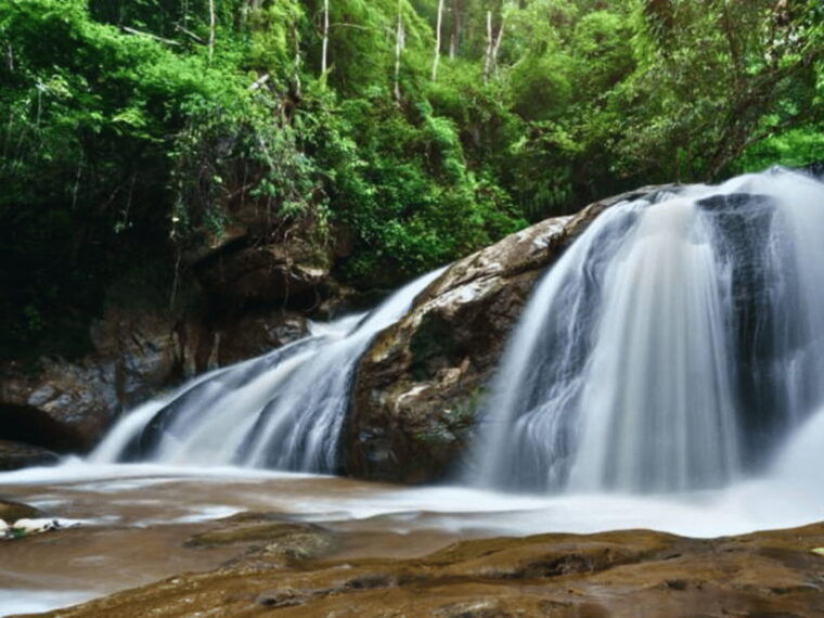 One-Day Private Tour With Driver :Temples & Mae Sa Waterfall - Wat Umong Suan Putthatham