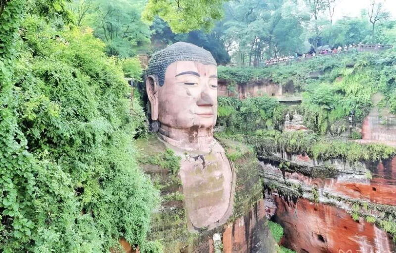 One-day private transfer service to Leshan from Chengdu - Who Would Love This Experience?