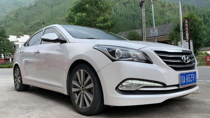 One-day private transfer service to Leshan from Chengdu - Good To Know  