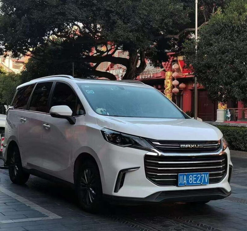 One-day private transfer service to Leshan from Chengdu - An In-Depth Look at the Experience  