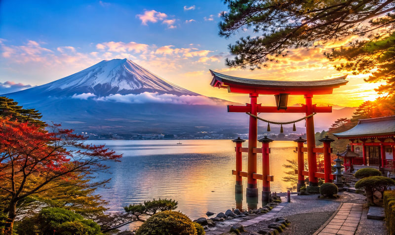 One Day Private Trip to Hakone with English Speaking Driver - A private drive that makes Hakone easier