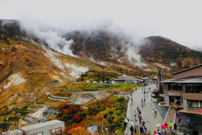 One Day Private Trip to Hakone with English Speaking Driver - Who should book this Hakone day trip