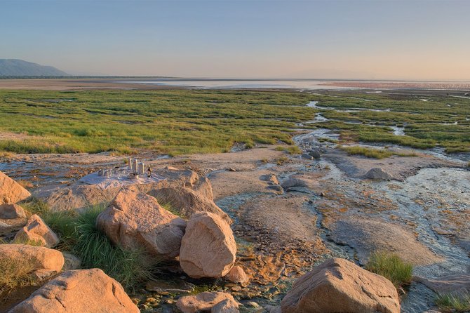 One Day Safari to Lake Manyara - Insider Tips for a Memorable Experience