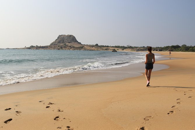 One Day Safari Tour to Both Yala and Bundala National Parks - Reviews and Ratings