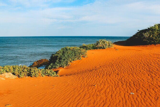 One Day Safari Tour to Bundala National Park from Colombo - Final Thoughts