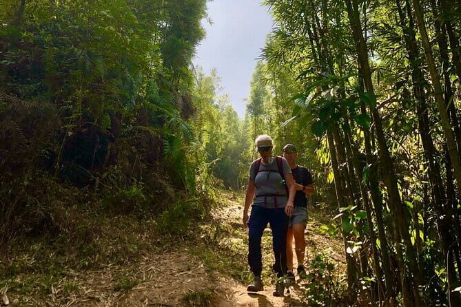 One Day Sapa Trekking - Who Will Love This Tour?