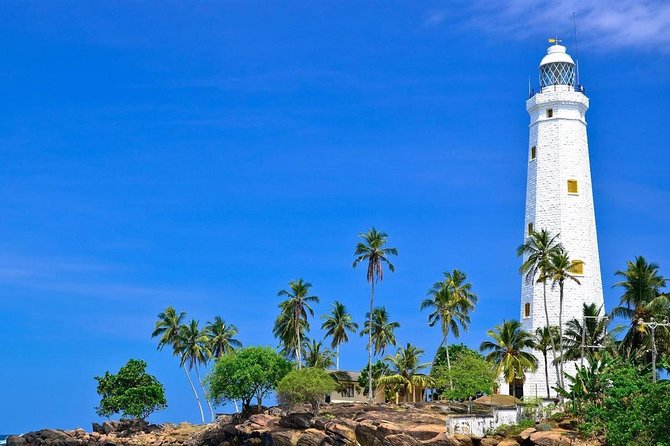 One Day Shore Excursion to Down South Sri Lanka - Itinerary for the One-Day Tour