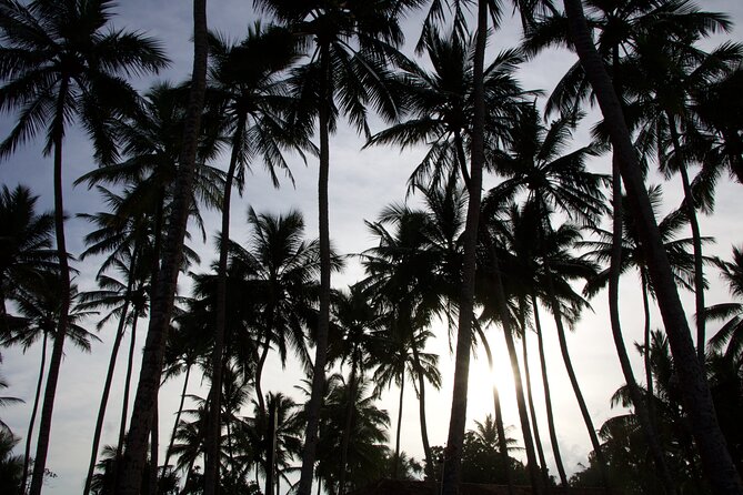 One Day Shore Excursion to Down South Sri Lanka - Experiencing Local Culture and Cuisine