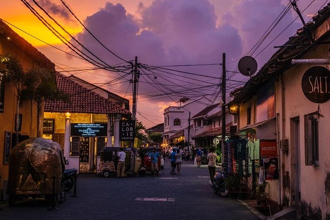 One Day Shore Excursion to Down South Sri Lanka - Transportation and Logistics Details