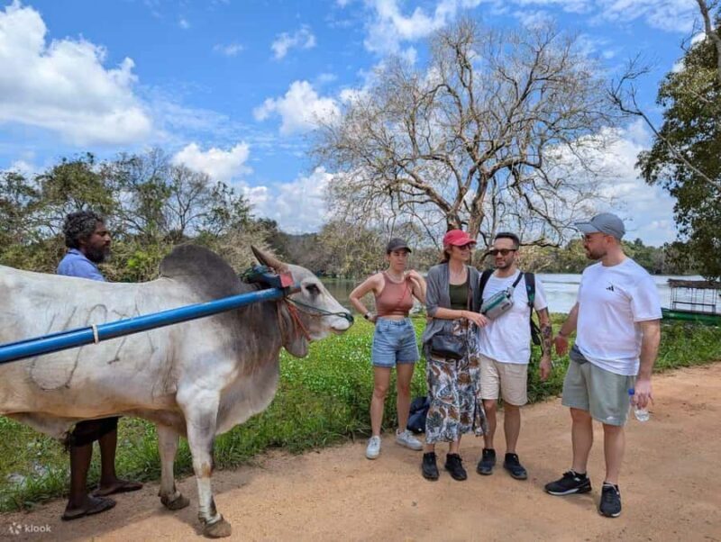One day Sigiriya Sunrise, Dambulla, & Village Tour - Village Life: The Authentic Side of Sri Lanka