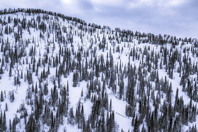 One Day Ski Tour Near Almaty - Good To Know  