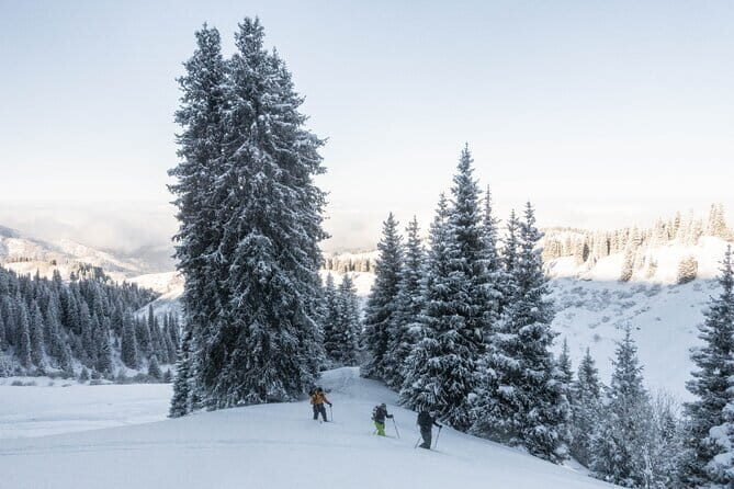 One Day Ski Tour Near Almaty - The Sum Up