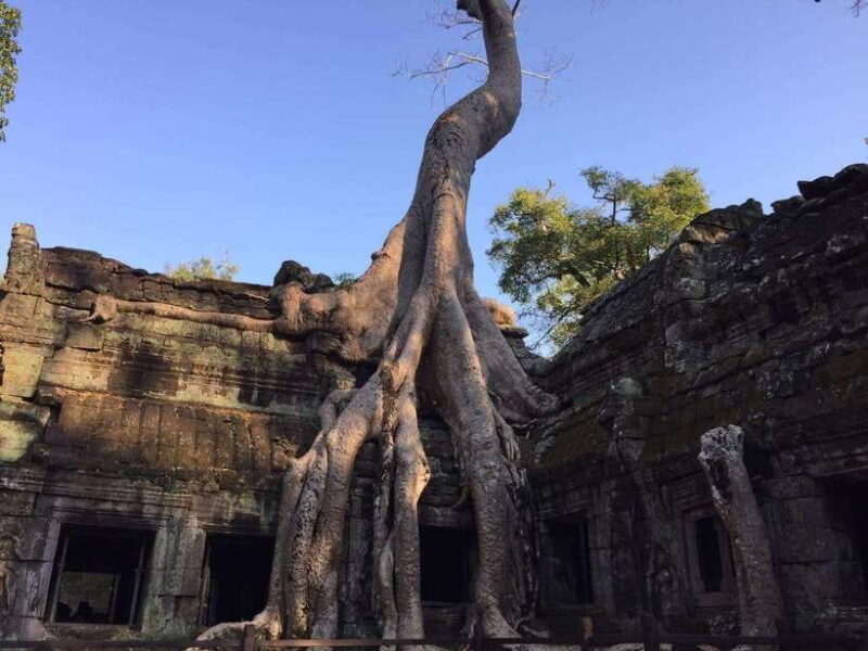 One-Day Small Circuit Tour: Angkor Wat, Bayon, Ta Prohm - The Sum Up
