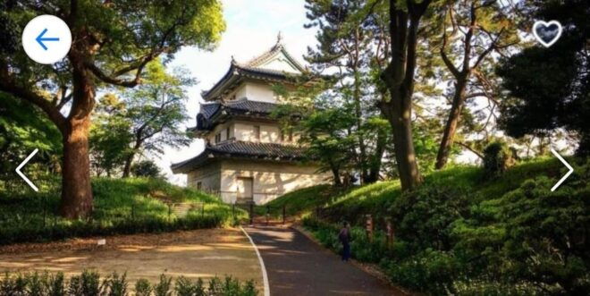 ONE DAY TOKYO CITY TOUR WITH ENGLISH SPEAKING GUIDE - Key Activities