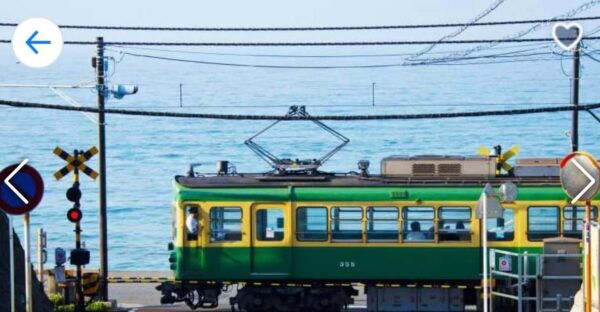 ONE DAY TOKYO CITY TOUR WITH ENGLISH SPEAKING GUIDE - Participant Guidelines