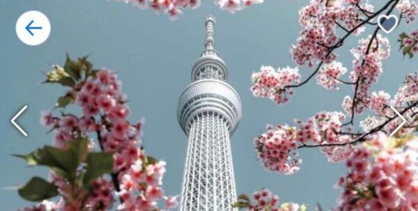 ONE DAY TOKYO CITY TOUR WITH ENGLISH SPEAKING GUIDE - Customer Feedback