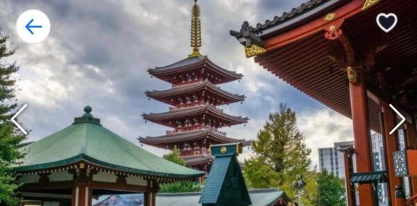 ONE DAY TOKYO CITY TOUR WITH ENGLISH SPEAKING GUIDE - Tips for a Great Experience